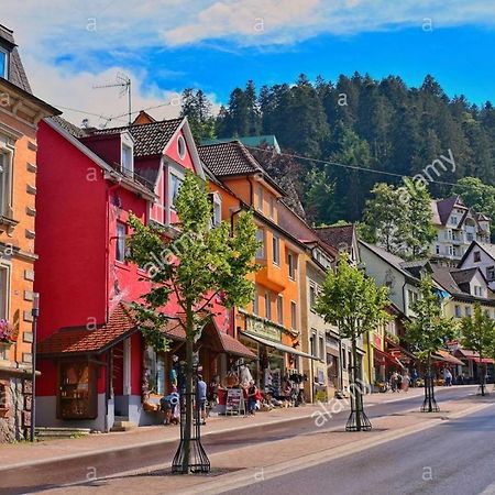 Dm Apartment Triberg im Schwarzwald Zewnętrze zdjęcie