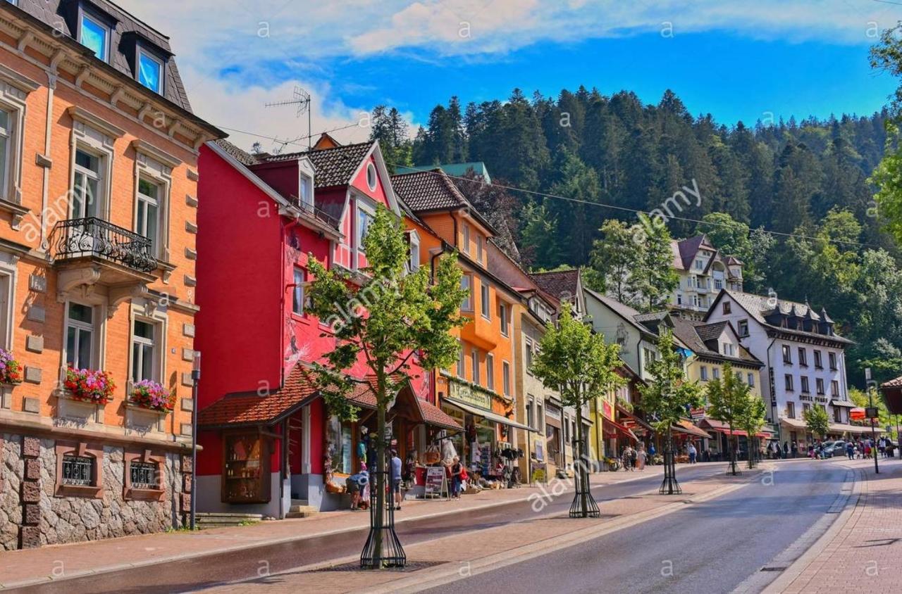 Dm Apartment Triberg im Schwarzwald Zewnętrze zdjęcie